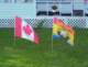 flags_small.jpg