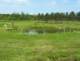pond_small.jpg